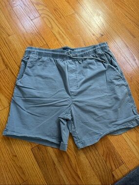 American Eagle Outfitters Men's Light Slate Blue Drawstring Shorts